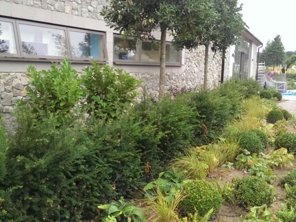 Tree and Hedging Installation